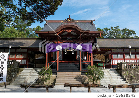 鹿児島神宮拝殿 鹿児島神宮拝殿 19638545