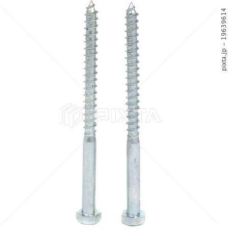 screw screw 19639614