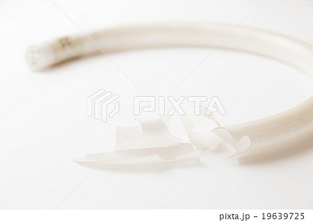 割れた蛍光灯 割れた蛍光灯 19639725