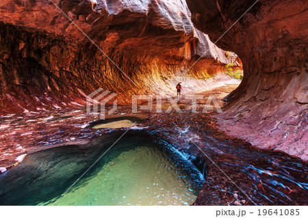 Canyon in Zion Canyon in Zion 19641085