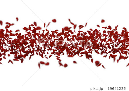 バラ 薔薇 赤い花びらが舞い散るのイラスト素材