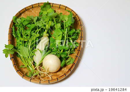 七草 七草 19641284