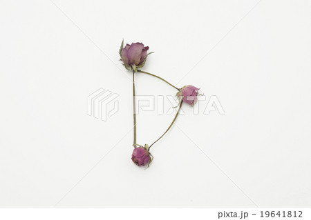 写真素材: 電話薔薇フォント英字「D」 19641812