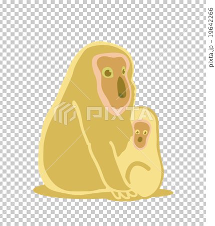Parent-child monkey (family) Parent-child monkey (family) 19642266
