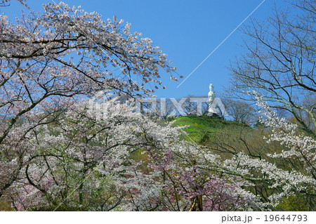 春の船岡城址公園(宮城県柴田町) 春の船岡城址公園(宮城県柴田町) 19644793