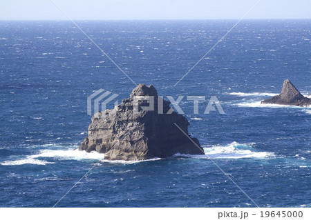 伊豆半島石廊崎の岩礁 19645000
