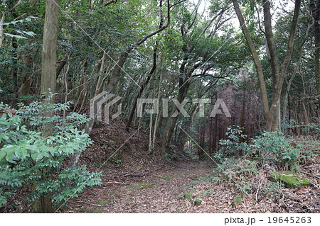 長崎街道の写真 19645263