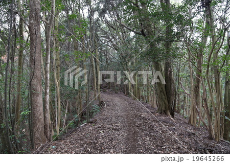 長崎街道の写真 19645266