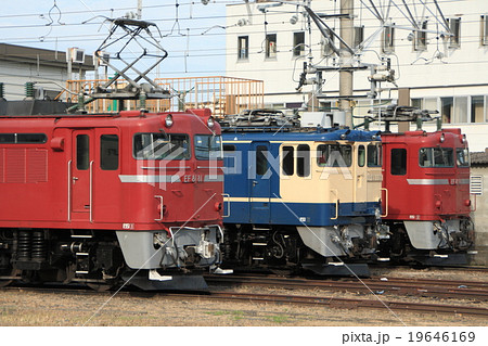 宇都宮運転所に留置中のEF81・EF65電気機関車 宇都宮運転所に留置中のEF81・EF65電気機関車 19646169