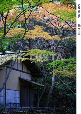 秋の横浜三溪園 19646309