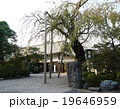 喜多院の拝観入口 19646959
