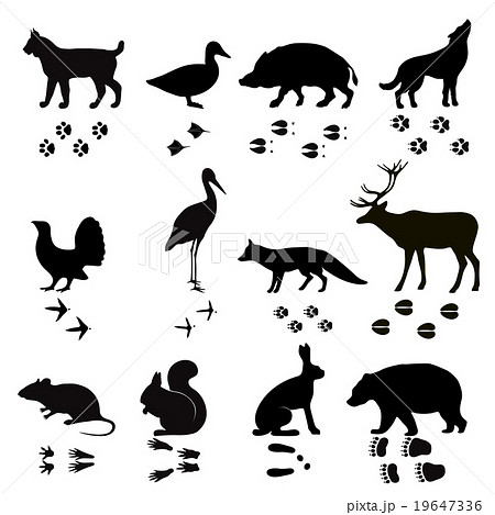 Wild Animals Vector Paw Footsteps Black Silhouetteのイラスト素材