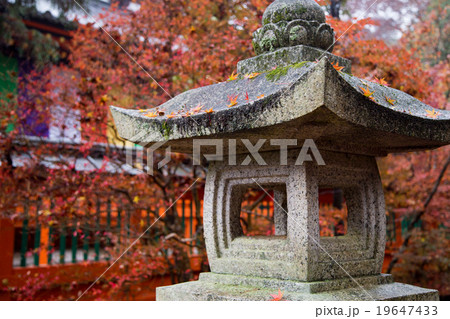 毘沙門堂、雨の紅葉。本堂と石灯籠 毘沙門堂、雨の紅葉。本堂と石灯籠 19647433