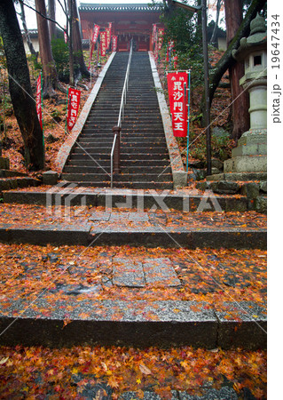 毘沙門堂、仁王門への石段に雨の紅葉 19647434