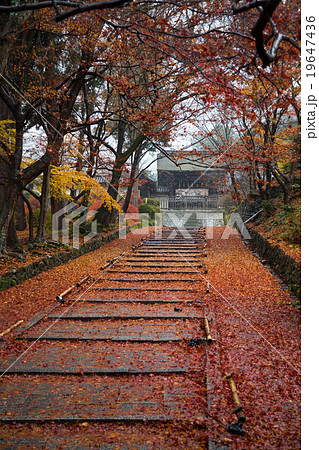 雨の毘沙門堂、勅使門への石段 19647436
