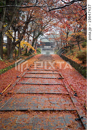 雨の毘沙門堂、勅使門への石段 19647437