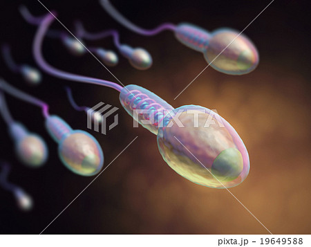 Human Reproduction 19649588