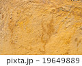 Wall texture 19649889