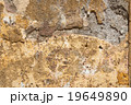 Wall texture 19649890