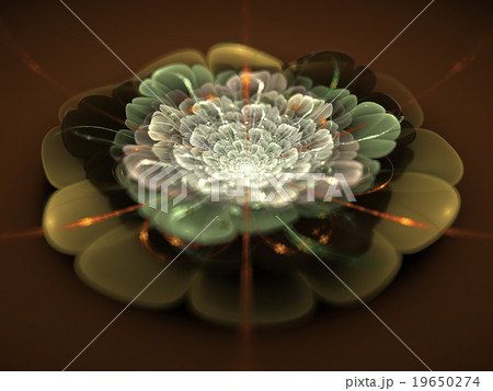 Fractal flower Fractal flower 19650274
