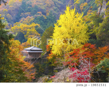 秋の浄因寺 19651531