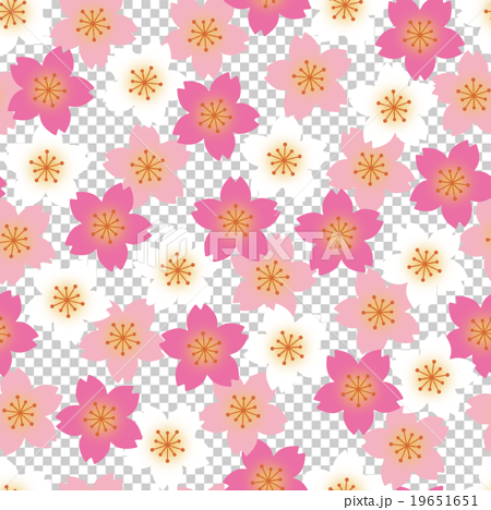 和柄 桜 千代紙風 シームレスパターン 背景透過のイラスト素材