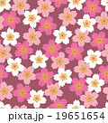 和柄　桜　千代紙風　シームレスパターン　臙脂 19651654