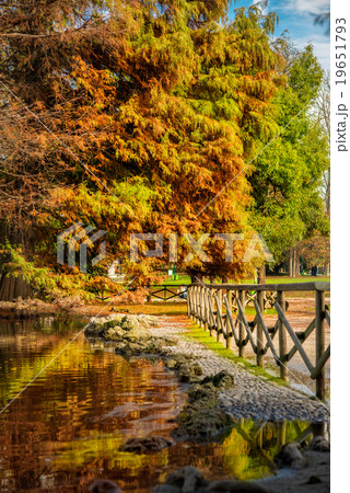 Beautiful autumn trees and lake in park Sempione Beautiful autumn trees and lake in park Sempione 19651793