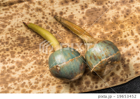 くわい 日本の冬野菜('Caerulea')water chestnut くわい 日本の冬野菜('Caerulea')water chestnut 19653452