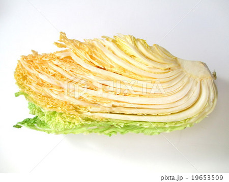 オレンジ色の白菜　オレンジクイン 19653509