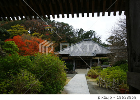伊豆下田 了仙寺 伊豆下田 了仙寺 19653958
