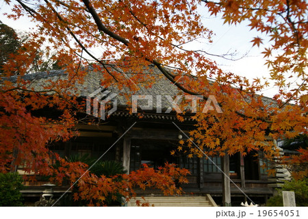 伊豆下田　紅葉の了仙寺 19654051