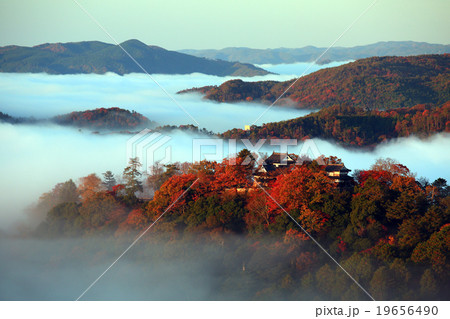 天空の城 備中松山城351 天空の城 備中松山城351 19656490