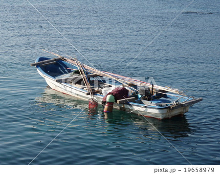 穏やかな海での箱メガネ漁 19658979