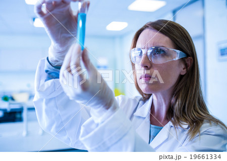 Scientist looking at test tube in the laboratory 19661334