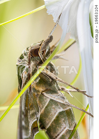 Warm lighting coming out from beautiful lamps 19663104