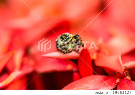 Warm lighting coming out from beautiful lamps 19663127