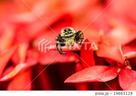 Warm lighting coming out from beautiful lamps 19663128