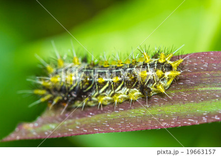 Warm lighting coming out from beautiful lamps Warm lighting coming out from beautiful lamps 19663157