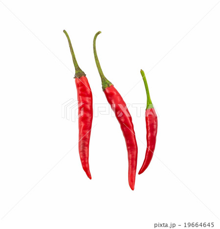 Red chili or chili peppe. Red chili or chili peppe. 19664645