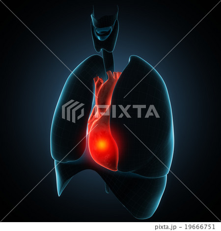 heart human disease illustration 19666751