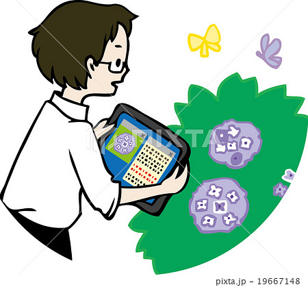 ICT教育：パソコン・タブレットを使う子ども(自然学習) 19667148