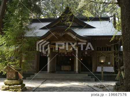 高千穂神社 高千穂神社 19667576