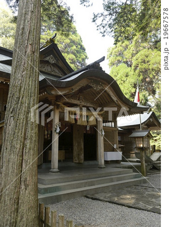 高千穂神社 高千穂神社 19667578