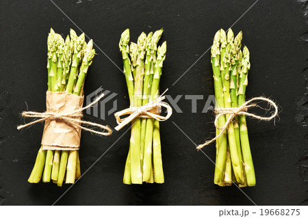 Asparagus Asparagus 19668275
