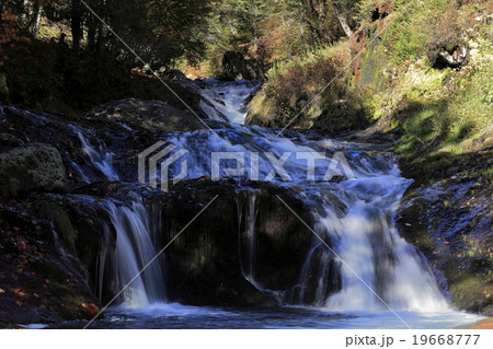 おしどり隠しの滝 19668777