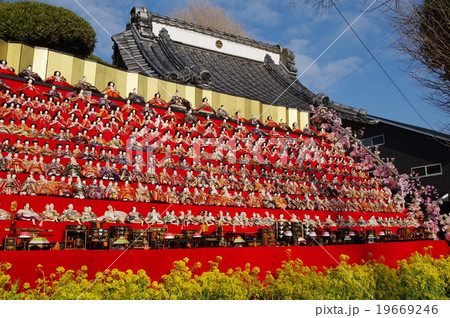 勝浦ビッグ雛祭り（千葉県勝浦市） 19669246