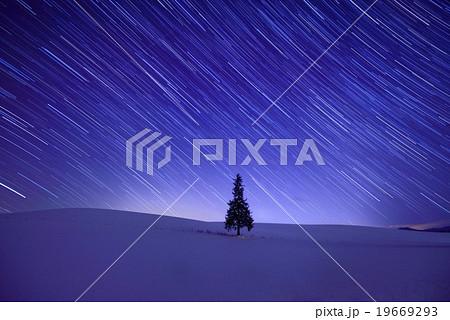 美瑛 星の降る丘 美瑛 星の降る丘 19669293