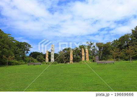 観音崎　花の広場 19669666