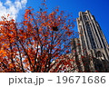 The University of Pittsburgh 19671686
